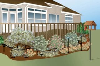 watering shrubs an irrigation system