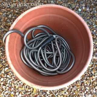 stainless steel hose in a garden pot