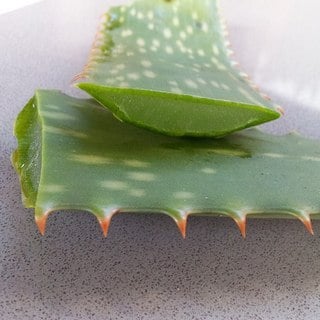 aloe vera leaf cut open