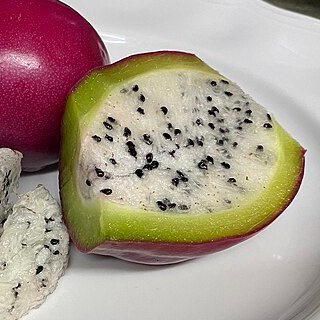 peruvian apple slice