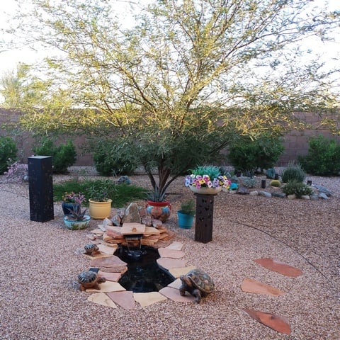 leslie roy mesquite and pond