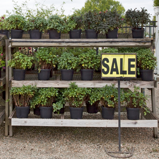 plant clearance sale rack