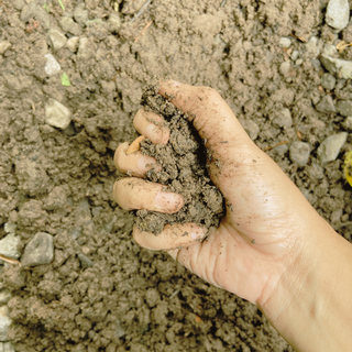 hand-holding-clay hand squeezing clay soil