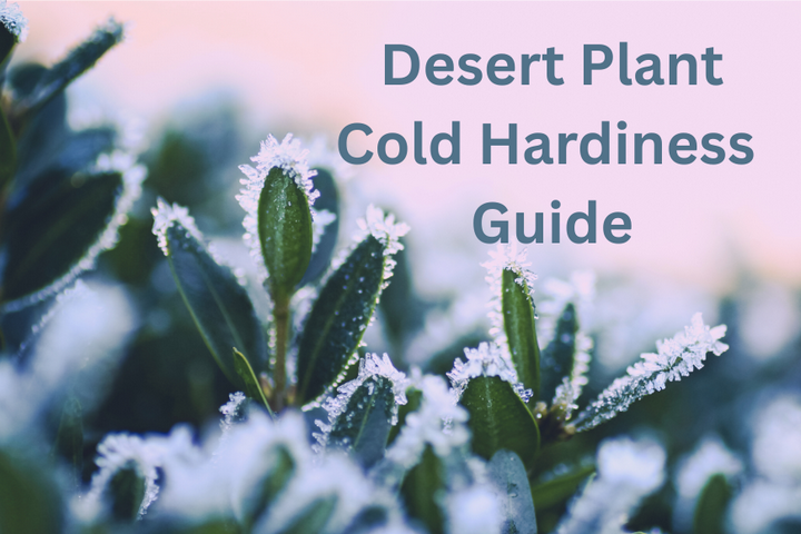 desert plant cold hardiness guide