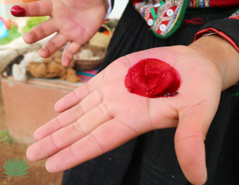 cochineal carminic acid