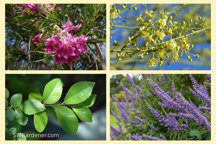 TEP trees for you program