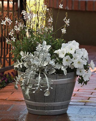 silver-swirl-container container with silver swirl and white flowering plants