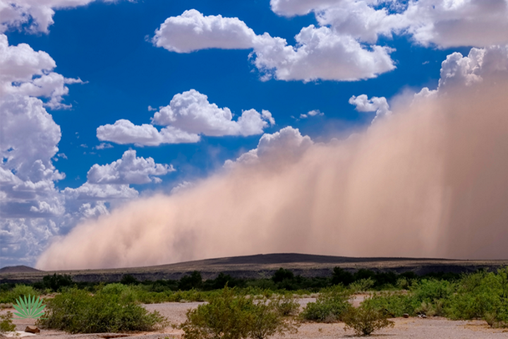 haboob-arizona haboob in arizona